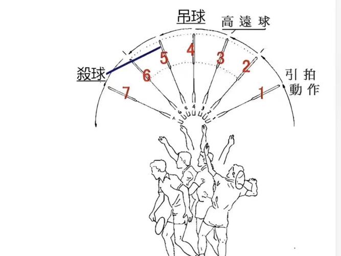 羽毛球击球点缩略图