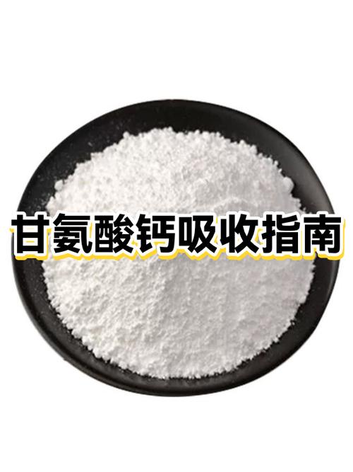 不能提高钙吸收的营养素是