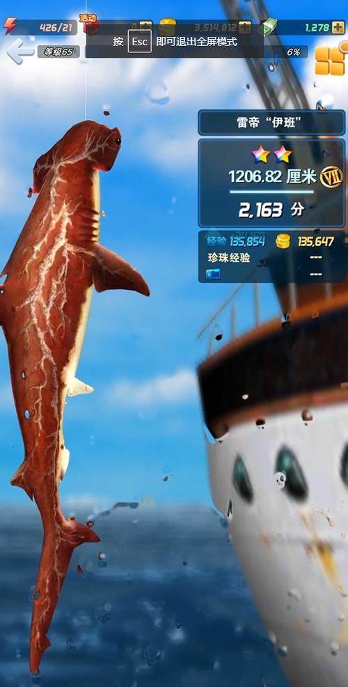 钓鱼发烧友脚本教程