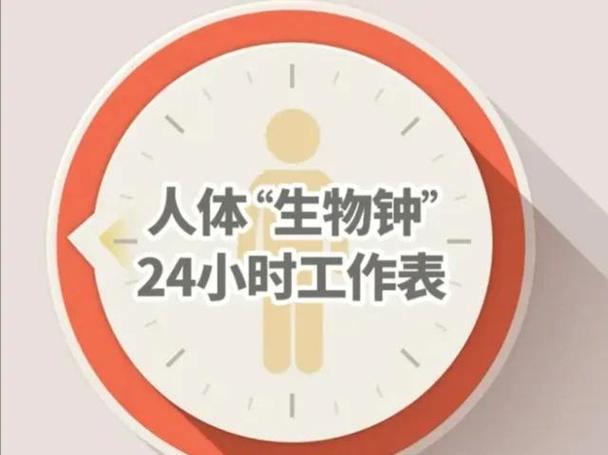 人的生物钟是固定的吗
