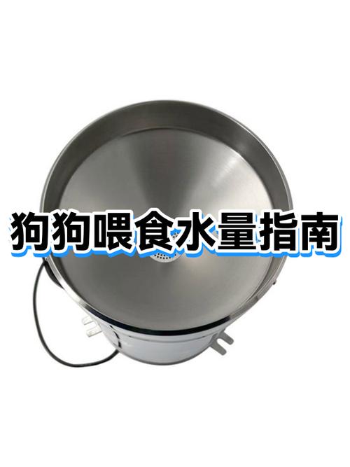 狗狗喂食的注意事项图标