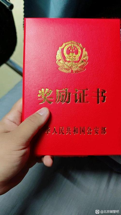 又搞笑又欠揍的惩罚