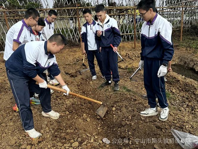 实践教学管理平台图标
