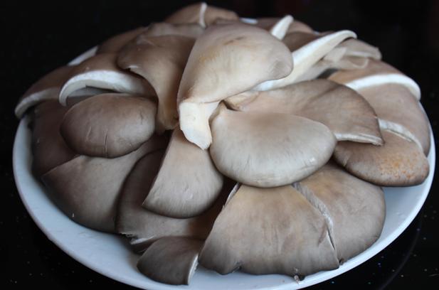 蘑菇怎么炒好吃游戏截图