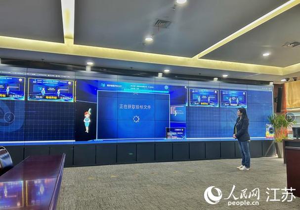 南京招标投标公共服务平台缩略图