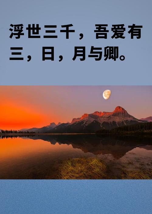 日月与卿是什么意思缩略图
