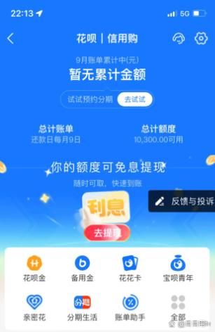 支付宝先用后付3000额度缩略图