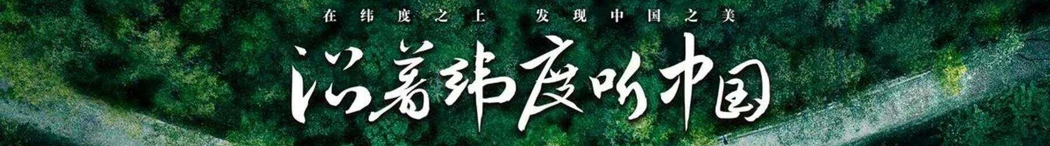 听中国在线听书网缩略图