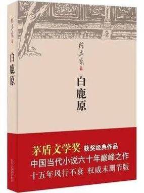白鹿原原版小说缩略图