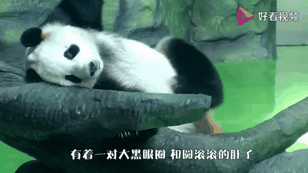 熊猫省钱是真的吗游戏截图