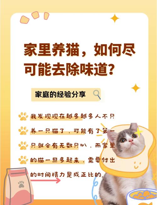 室内养猫异味如何去除图标