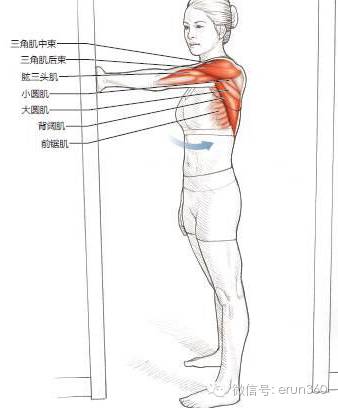 抻胳膊是什么意思缩略图