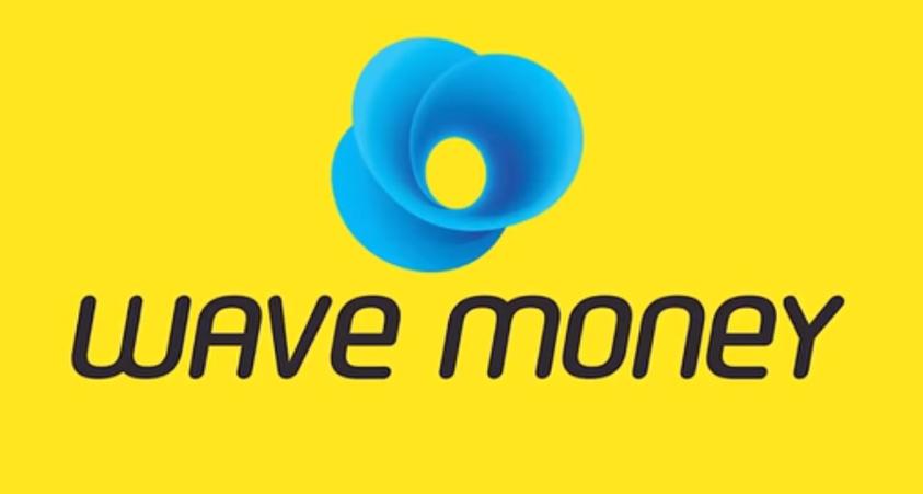 wave money pay图标