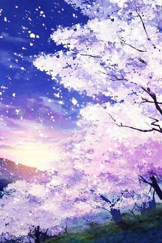 官方樱花动漫缩略图