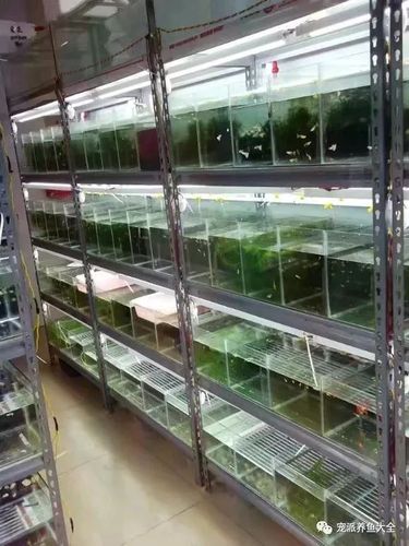 小鱼缸增氧过滤一体推荐图标