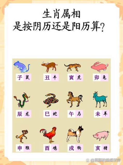 十二生肖来相会是什么生肖图标
