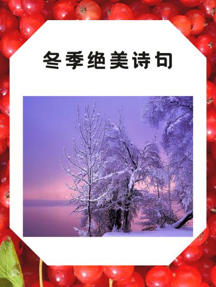赞美冬日阳光明媚诗句缩略图