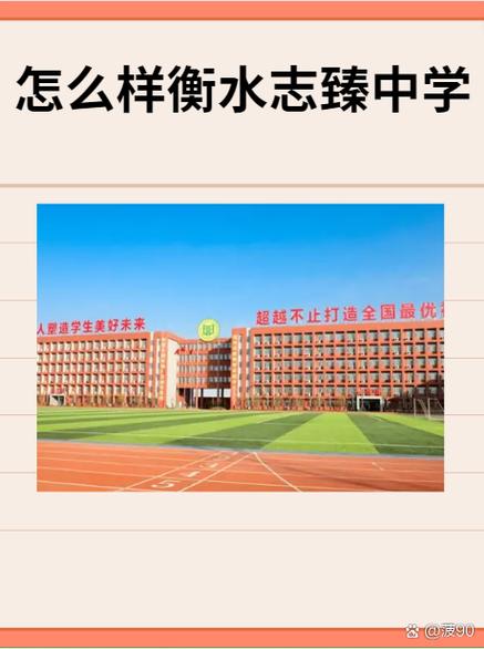 张雪峰评价志臻中学图标