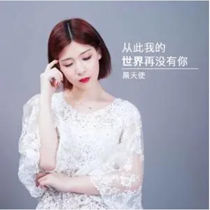 《我的世界从此没有你》歌曲缩略图