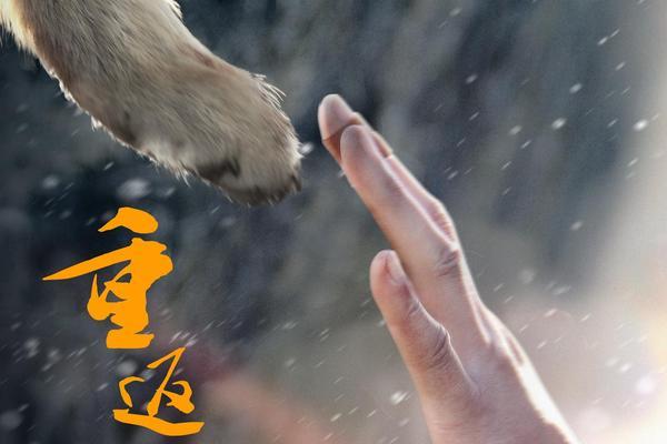 电影重返狼群2游戏截图