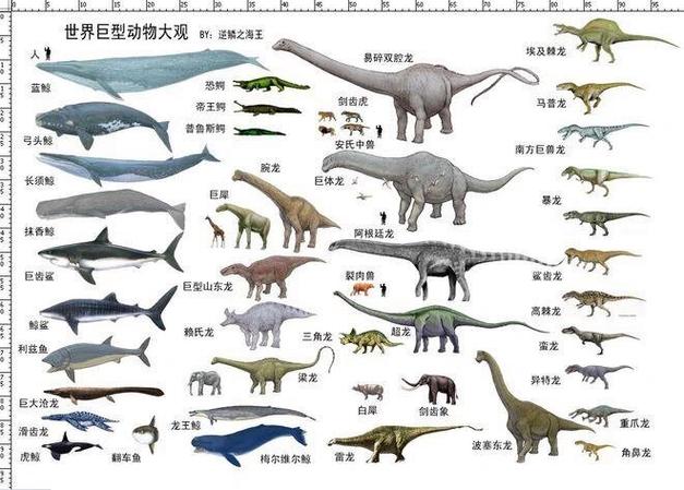 恐龙图鉴图标