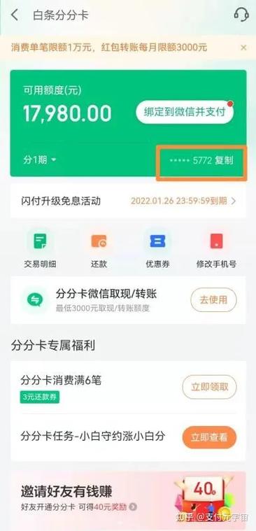 京东白条闪付找不到入口游戏截图