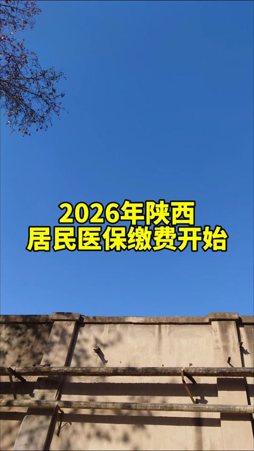 陕西城乡居民医保缴费缩略图
