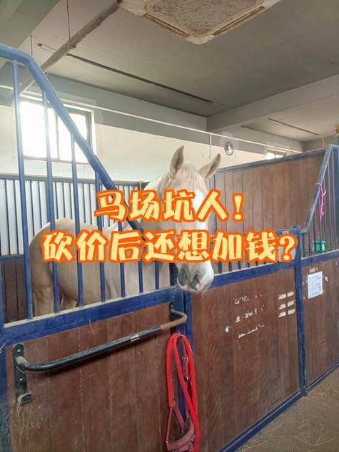 一个马场多少钱缩略图