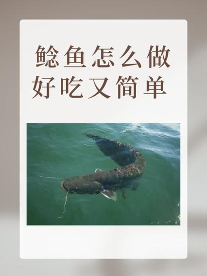 鲶鱼怎么做好吃又简单游戏截图