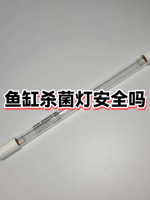 鱼缸有必要用杀菌灯吗缩略图