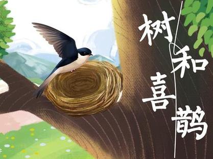 喜鹊的短文图标
