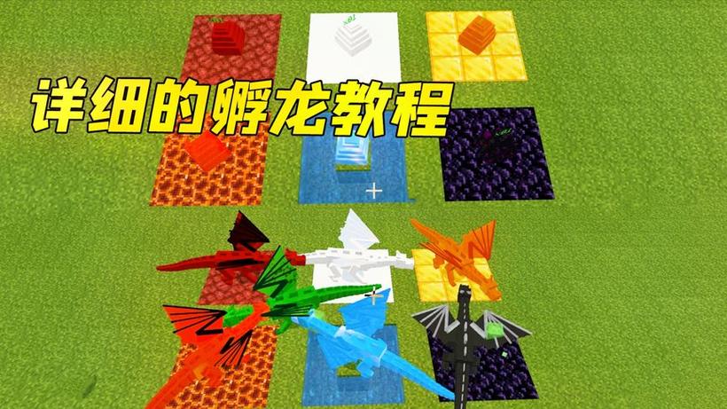 我的世界龙蛋快速孵化指令游戏截图