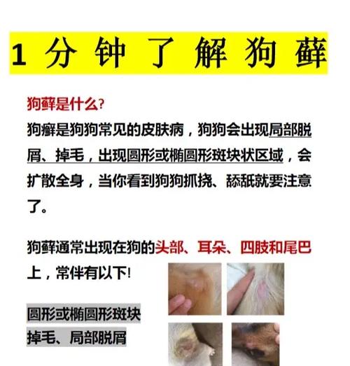 中蜂囊虫病最怕三种药图标