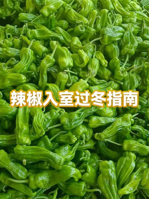 剁辣椒过安检会被扣吗