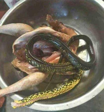 蛇肉是癌细胞最喜欢吃的吗图标