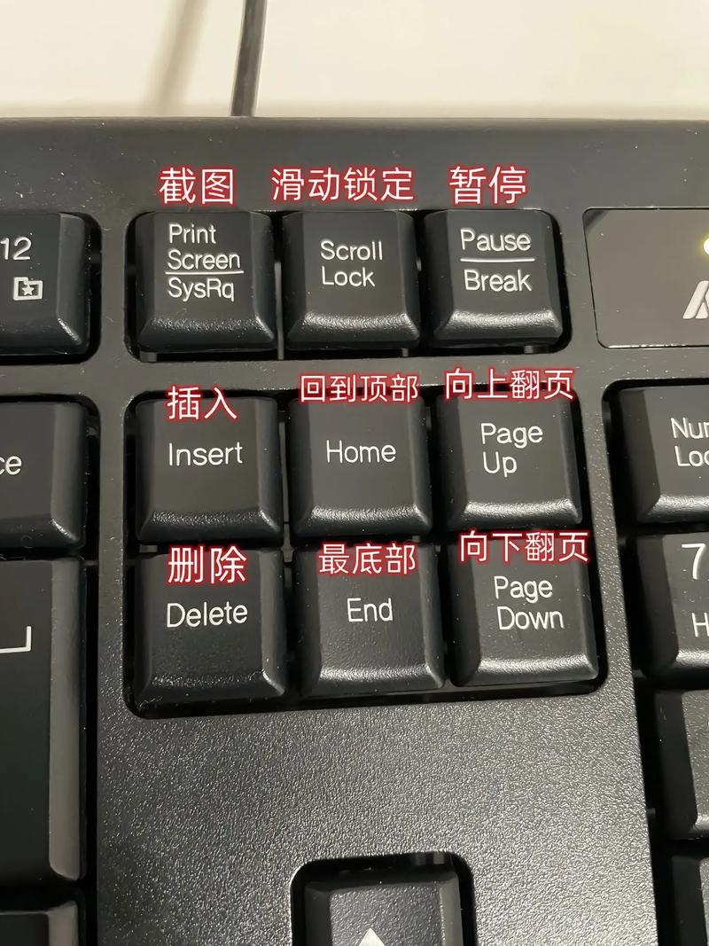 苹果电脑escape键是哪个缩略图