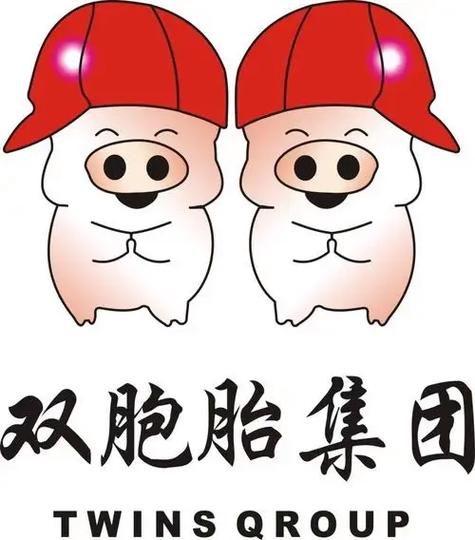 双胞胎集团职级体系缩略图
