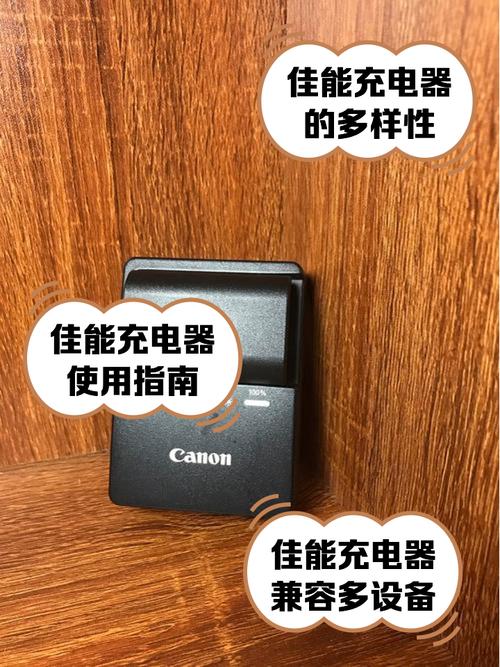佳能电池充电指示灯的含义游戏截图