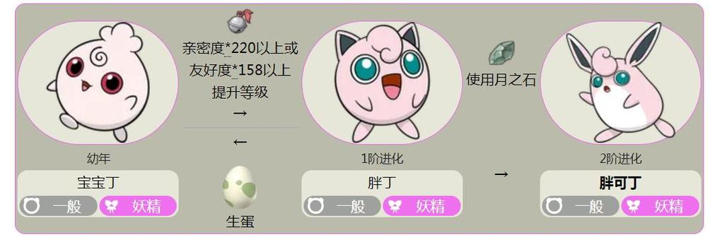 胖丁进化条件介绍