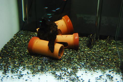 射箭馆