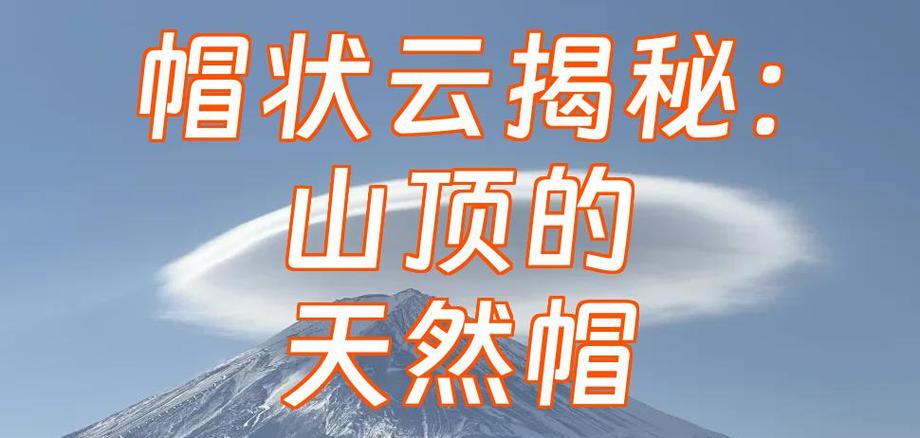 263云卡坑了多少人