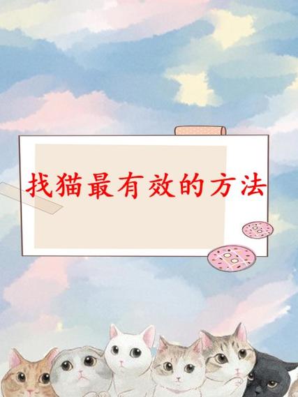 猫走丢后怎么找回来