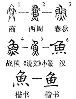 鱼字来历小故事图标