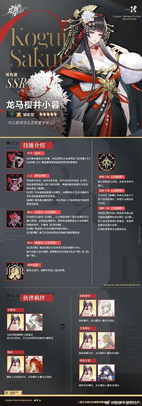 龙将军直装v11.9稳定版缩略图