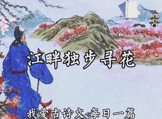 唐寻花论坛
