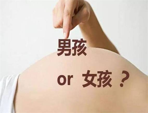 萌宝是男孩还是女孩缩略图