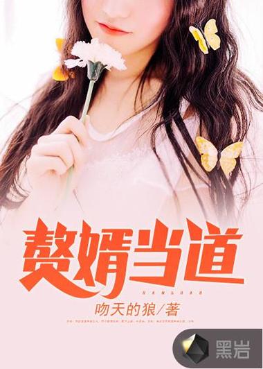 入赘为婿岳风笔趣阁游戏截图