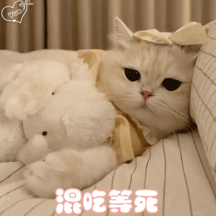 可爱表情图片