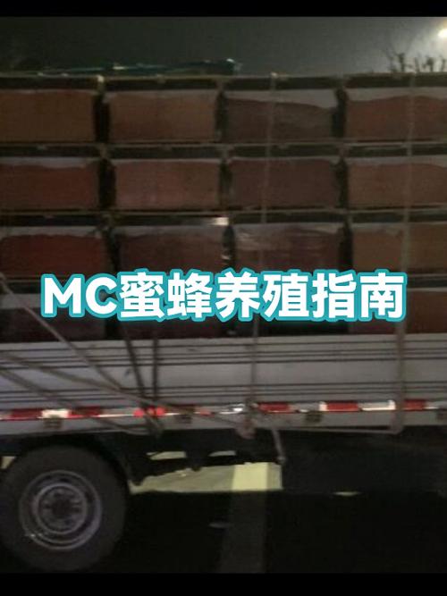我的世界蜜蜂繁殖方法缩略图