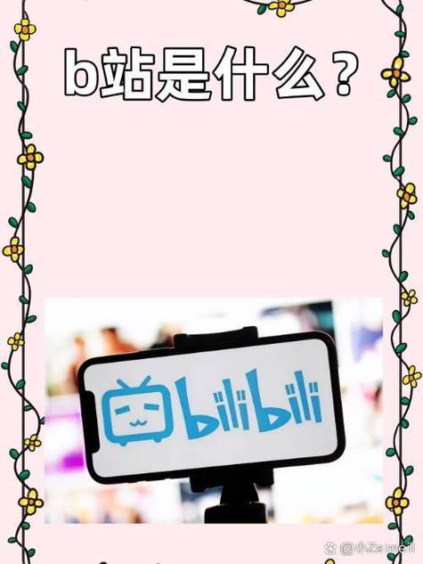 bilibili海外版叫什么图标